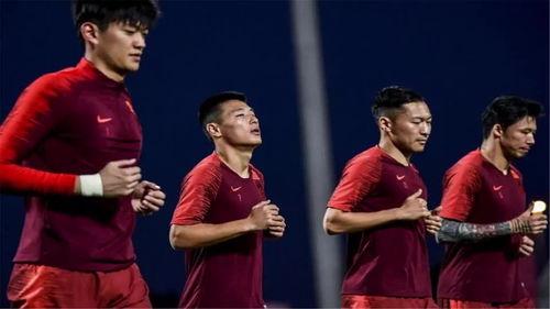 郑磊最新爆料视频播放,事件真相再引热议